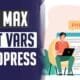 php max input vars wordpress
